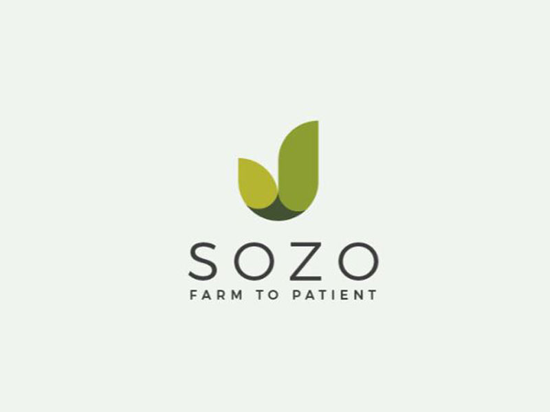 abstract Logo