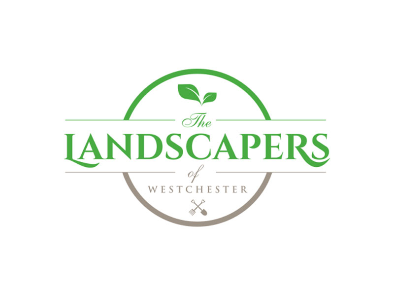 abstract Logo