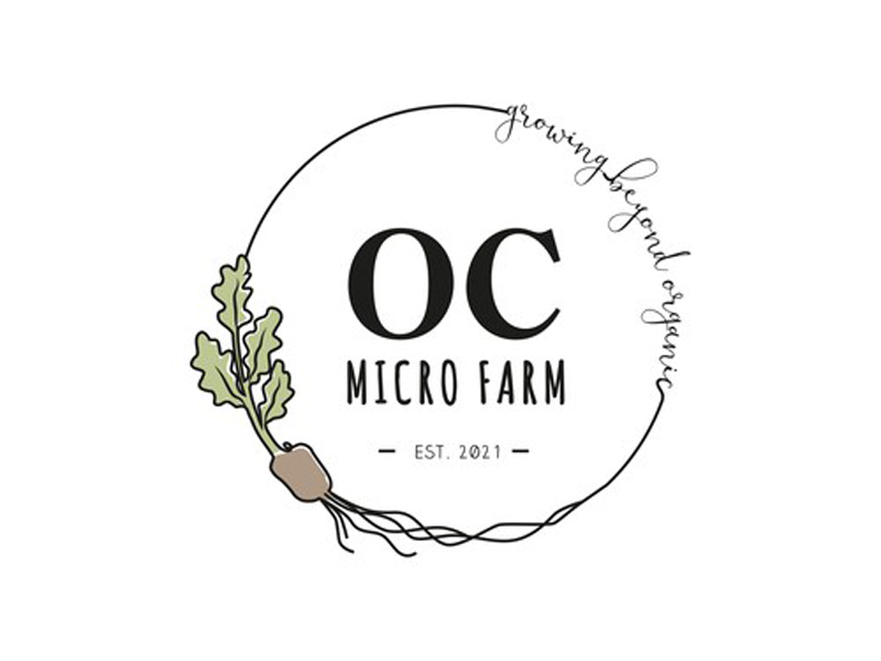 abstract Logo
