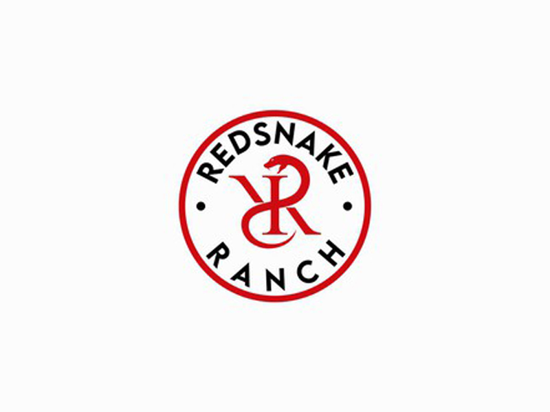 abstract Logo