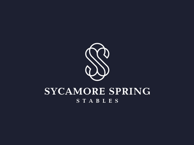 abstract Logo