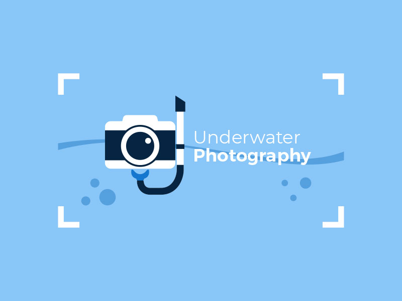 abstract Logo