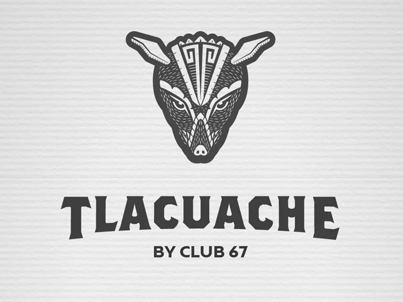 abstract Logo