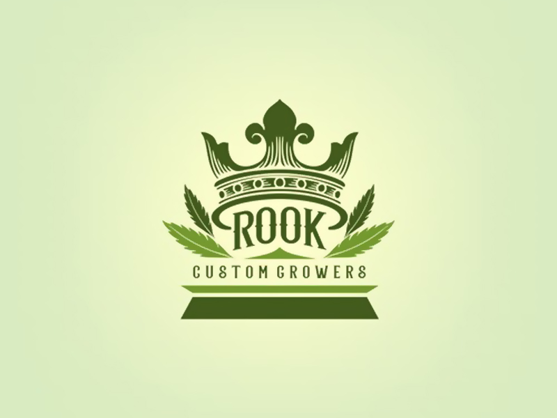 abstract Logo