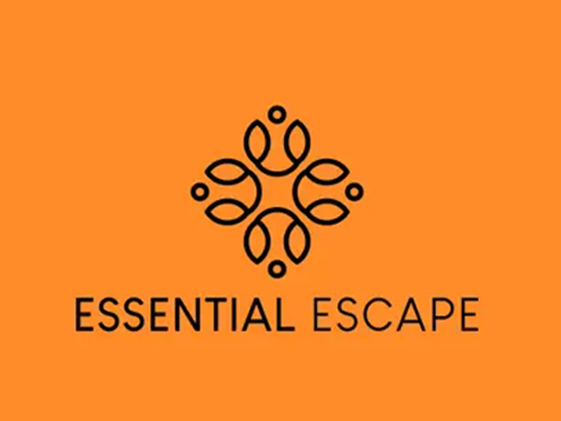 abstract Logo