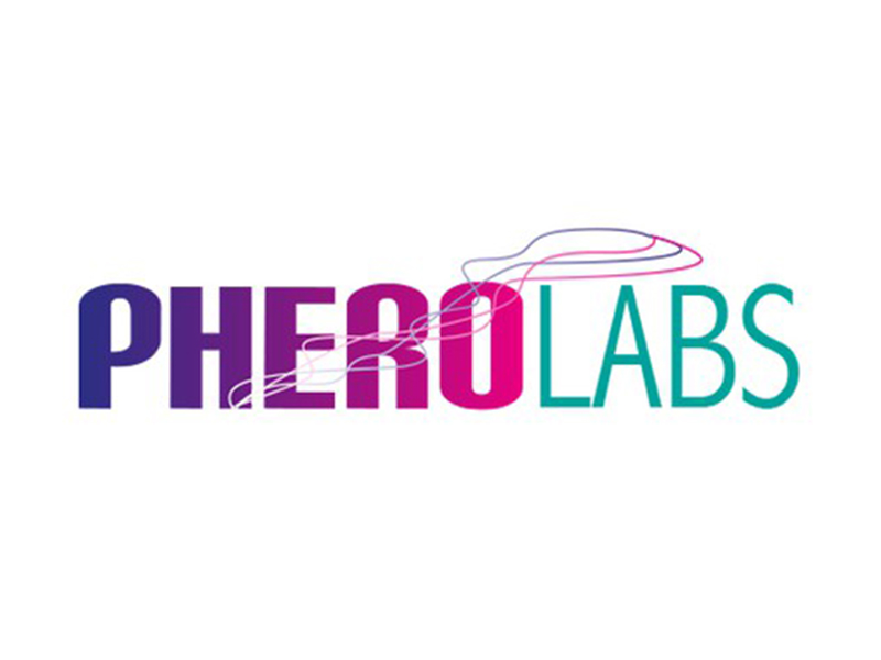 abstract Logo