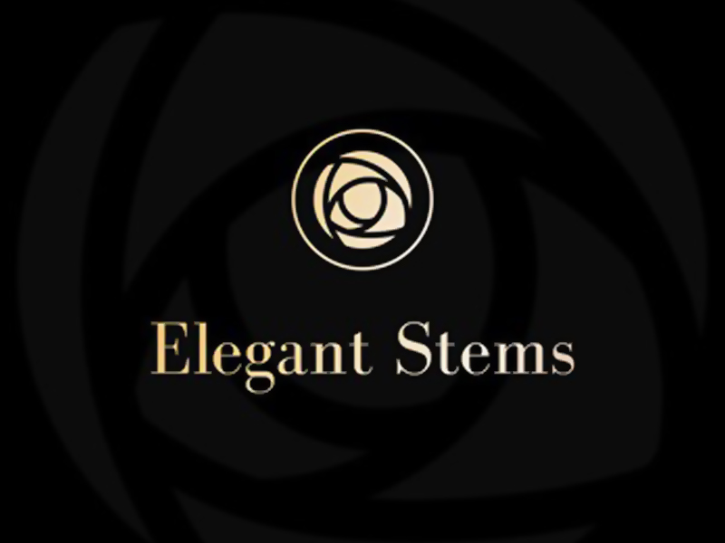 abstract Logo