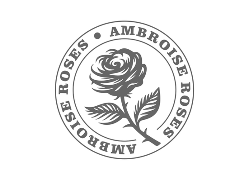 abstract Logo
