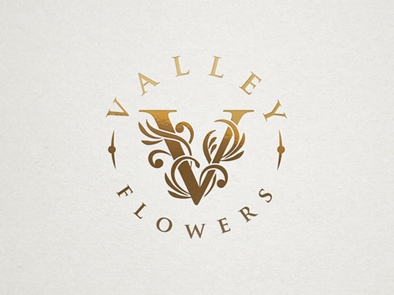 abstract Logo