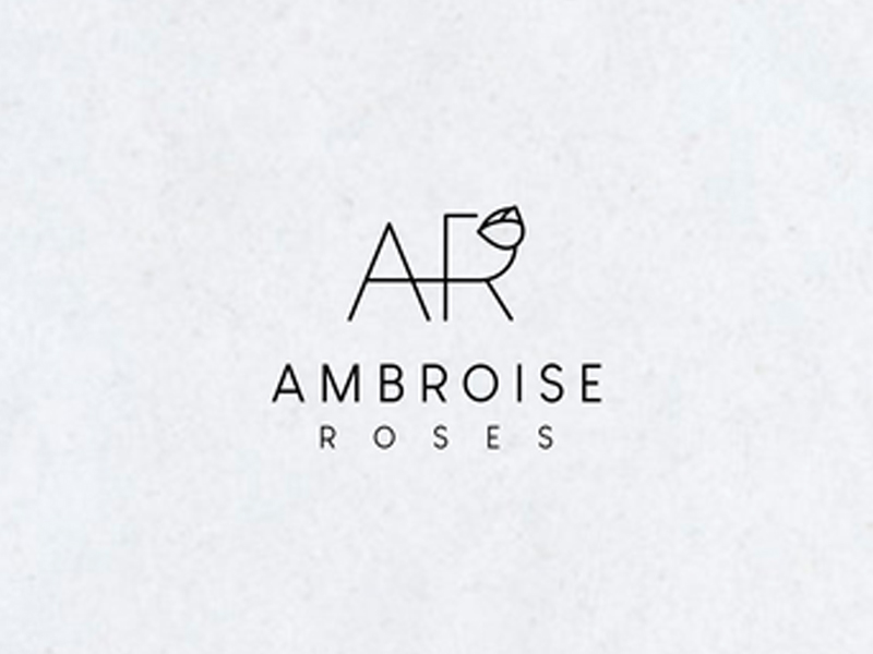 abstract Logo