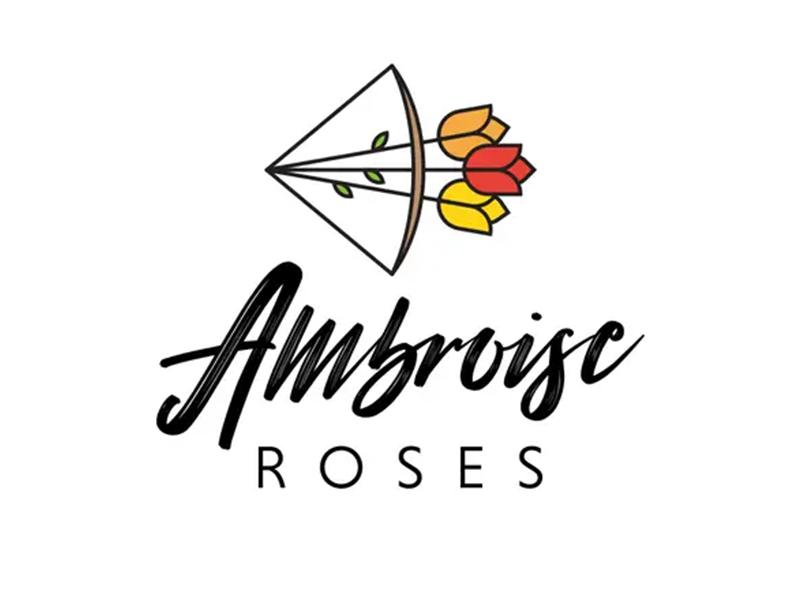 abstract Logo