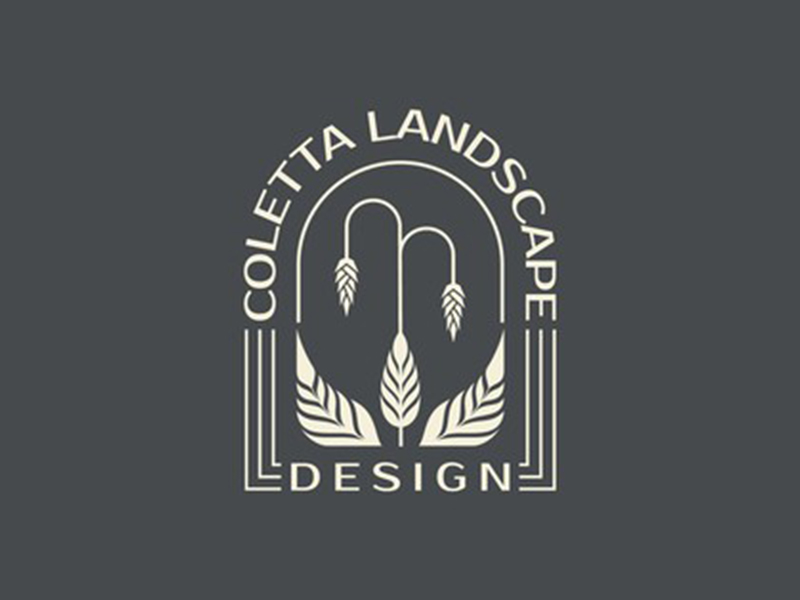 abstract Logo