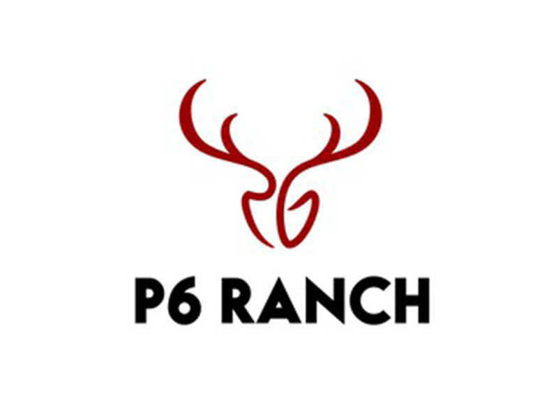 abstract Logo
