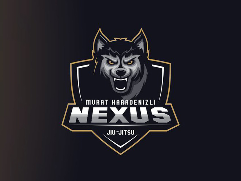 abstract Logo
