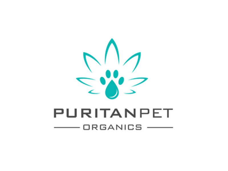 abstract Logo