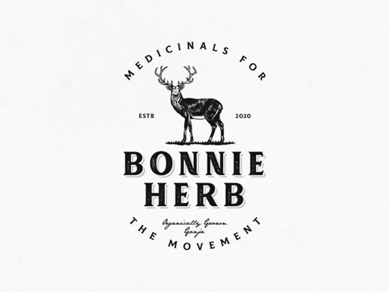 abstract Logo