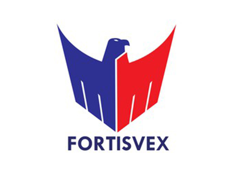 abstract Logo