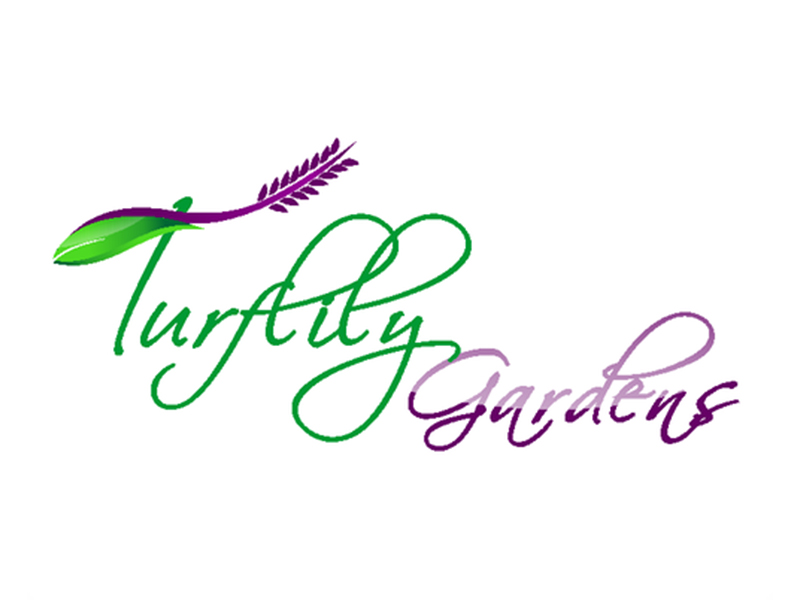 abstract Logo