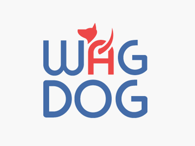 abstract Logo