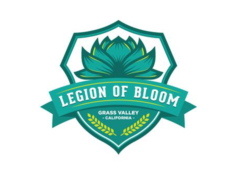 abstract Logo