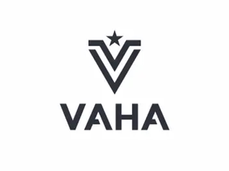 abstract Logo