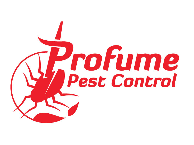 abstract Logo