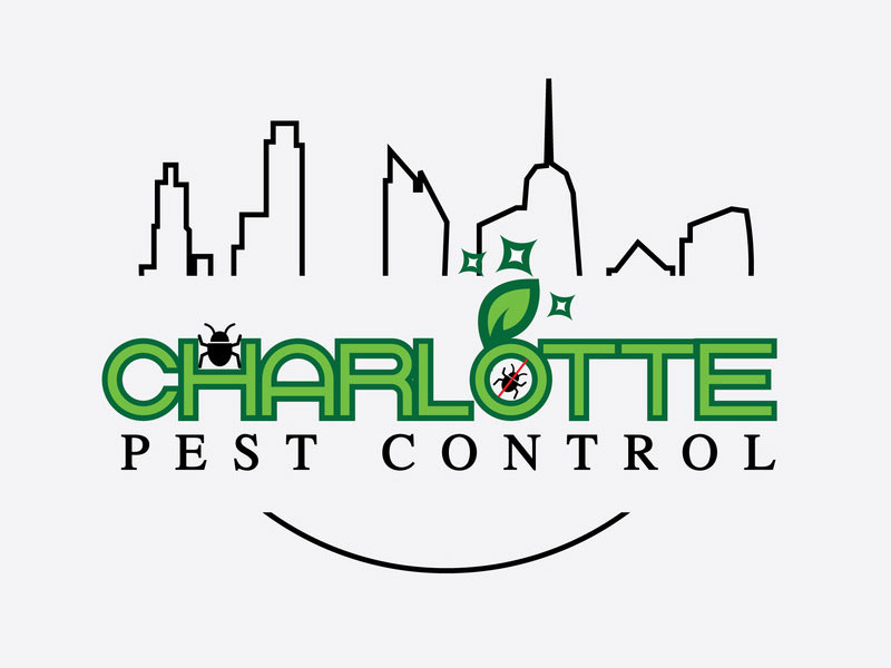 abstract Logo