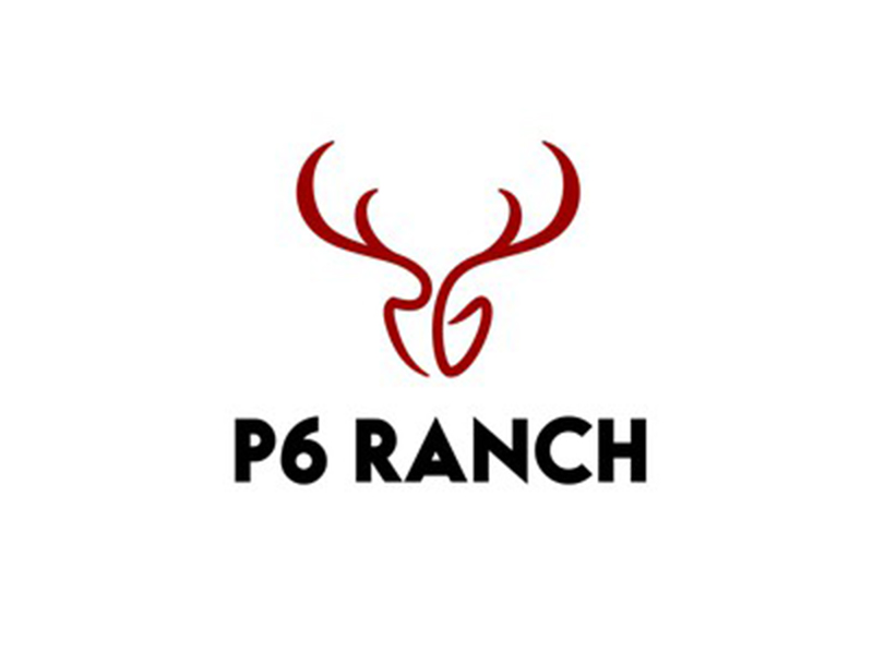 abstract Logo
