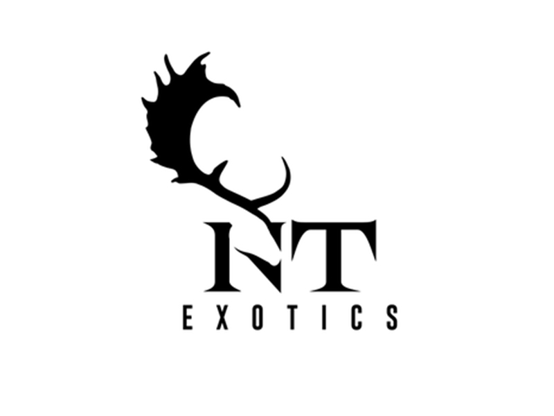 abstract Logo