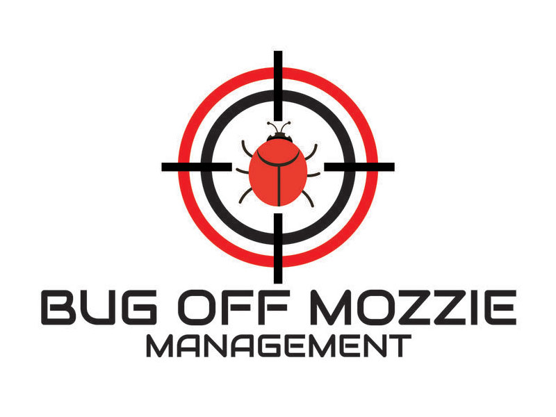 abstract Logo