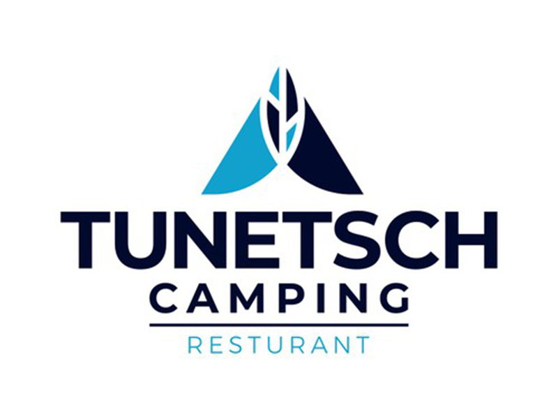abstract Logo