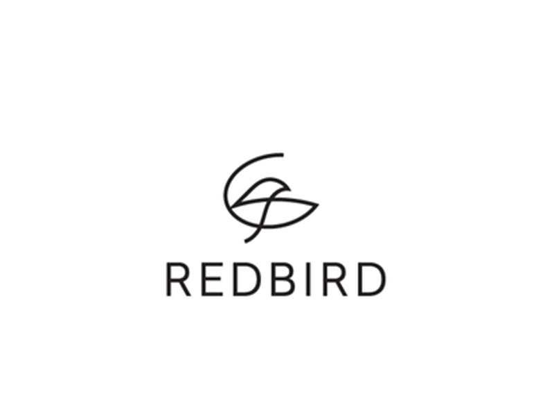 abstract Logo