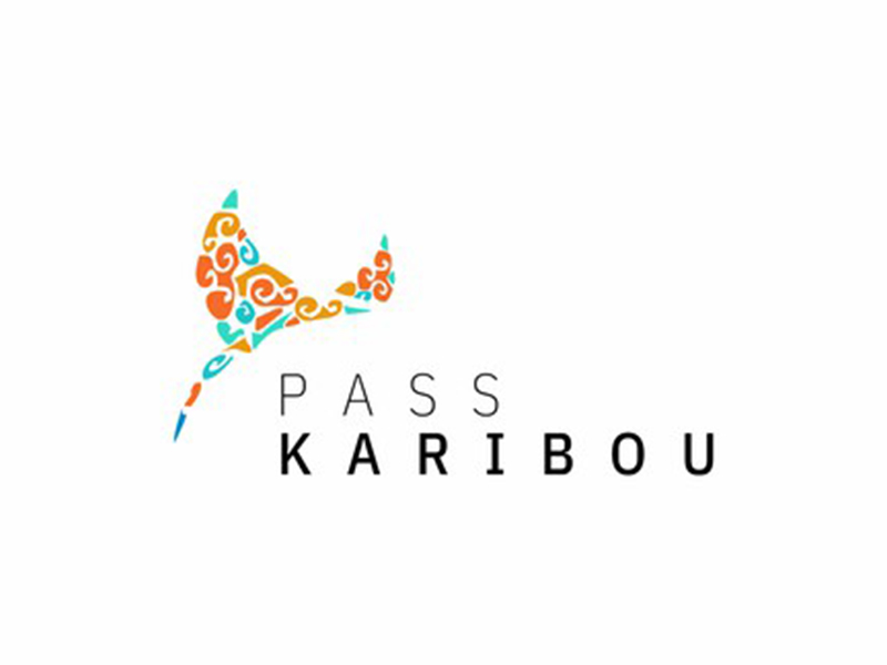 abstract Logo