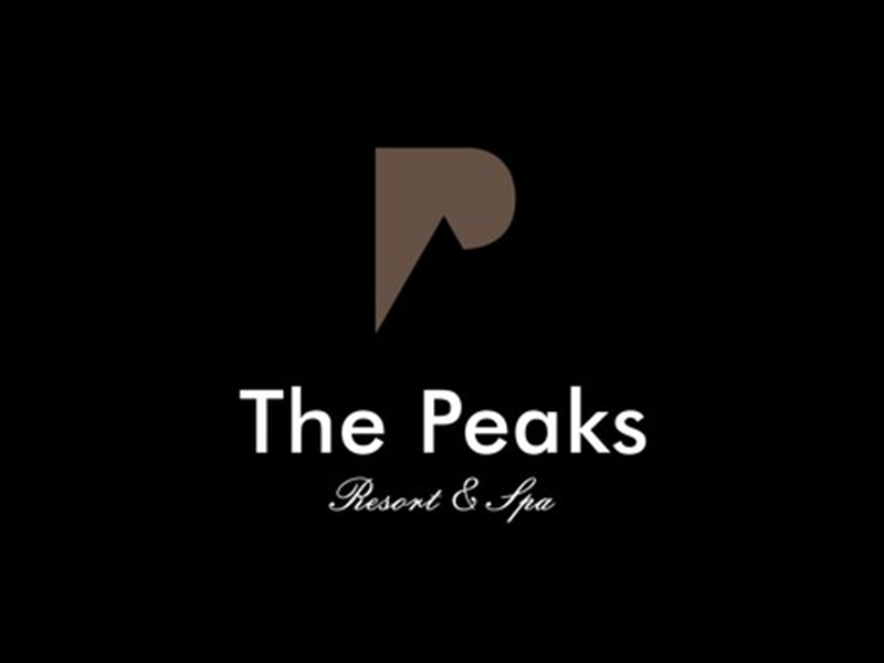 abstract Logo